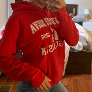 Wisconsin hoodie